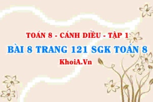 Bài 8 trang 121 SGK Toán 8 tập 1 Cánh Diều